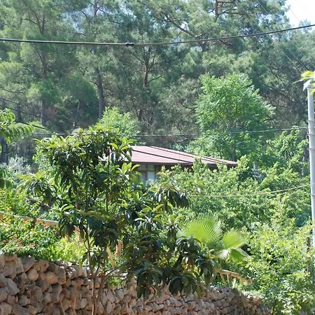 Gasthof Camlik *